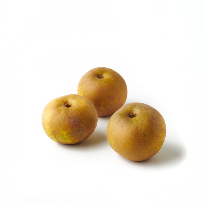 Apples Egremont Russet